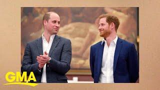 Prince Harry and Prince William through the years l GMA