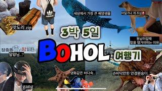  환상의 섬 필리핀 보홀 3박5일 여행기 |헤난 타왈라/Bohol•알로나비치/ 호핑투어 / 버진 아일랜드/ 고래상어/ 패키지/ 망고망고망고망고망고