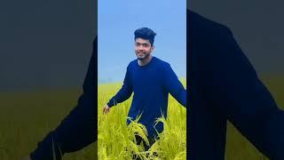 rocking star Rohan new Instagram reels||rocking star Rohan #shorts @streak info kannada  subscribe