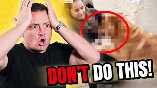 Dog Trainer Reacts to INSANE Viral Dog Videos!