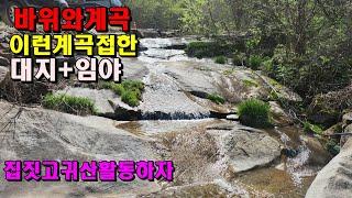 골막장 기막힌계곡접한 집지을수있는임야와대지/26,500/정선임야/정선부동산매매