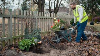 Fence Removal & Garden Makeover Digging, Transplanting & Tree Planting Prep!