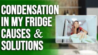 There Is Condensation in My Fridge – Reasons and Quick Solutions