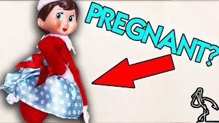 ELF ON THE SHELF PREGNANCY SURPRISE | An Elf Birth Story - part 1