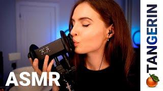 ASMR Ear Kisses / Mouth Sounds / Fluffy Mic Scratching | Tangerin