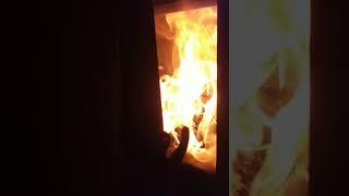 Топлю котёл кукурузным жиром. Экопоселение СПАРТА. #экопоселение