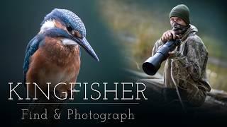 BEST Setup for Kingfisher Photoghraphy - POV Relaxing Wildlife Photography