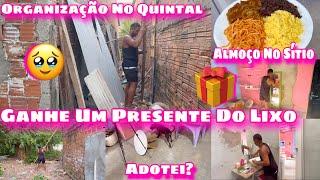 GANHEI UM PRESENTE DO LIXO/COMECEI A ORGANIZAR O QUINTAL/ALMOÇO NO SÍTIO/ADOTEI O CACHORRO?