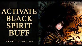 Black Spirit HIDDEN BUFF (READ DESCRIPTION MORE INFO) Black Desert Online BDO New Player Guide
