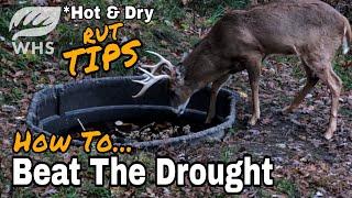 Whitetail Rut Hunting In Heat and Drought