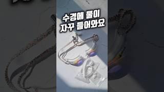초보 수영러의 장비 고충  코걸이 교체로 조금 나아졌어요! #수린이 #수영배우기