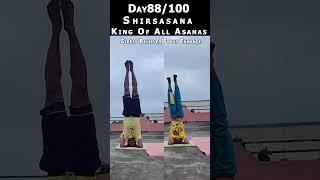 YogaSelfChallenge Day88| KungFu vs Yoga | SIRSASANA