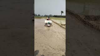 MARKSAN Rice Transplanter Demo Program | 2ZS-4HT Model Walking Type | 4 Raw Planter | BANGLAMARK