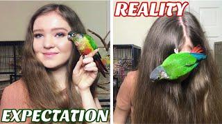 Expectations vs. Reality of Owning BIRDS!!