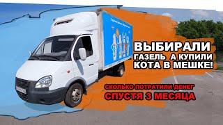 ВЫБИРАЛИ ГАЗЕЛЬ А КУПИЛИ КОТА В МЕШКЕ!   СКОЛЬКО ПОТРАТИЛИ ДЕНЕГ СПУСТЯ 3 МЕСЯЦА