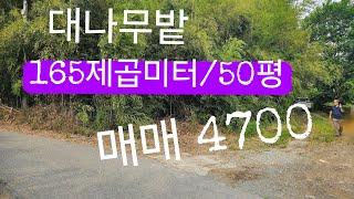 세종시 금남면 국곡리 매매4700