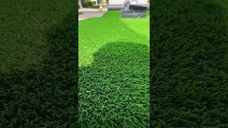 How to clean and maintain artificial grass #grass #lawn #artificalgrass