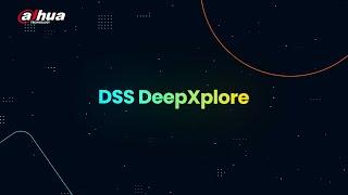 Dahua DSS DeepXplore