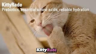 KittyRade Prebiotic Hydration for Cats