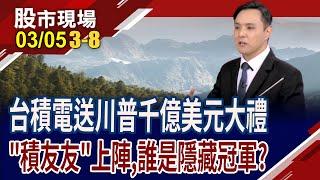 跟著台積電挺進美國 積友友隱藏冠軍出線?廠務.特化族群共築美國夢?大綜.敦陽科喜上眉梢?｜20250305(第3/8段)股市現場*曾鐘玉(黃紫東)