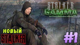 ️S.T.A.L.K.E.R.️ Anomaly GAMMA  Прохождение #1