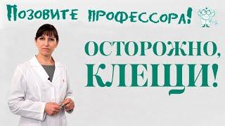 Осторожно, клещи!