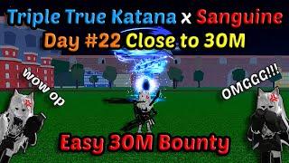 Day #22 From 2,5M Road to 30M With TTK Combo Portal Sanguine Blox Fruits Bounty Hunting