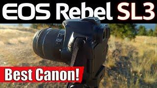 Canon SL3 in 2024: Best DSLR for Beginners?