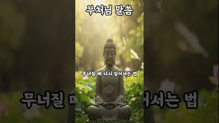 무너질 때 다시 일어서는 법#부처님말씀 #부처님의가르침 #불교명언