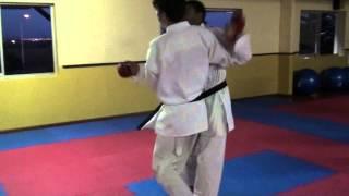 Karate Kumite Takedown