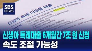 신생아 특례대출 6개월간 7조 원 신청…속도 조절 가능성 / SBS