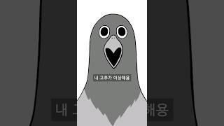 고추가 이상한 새대갈