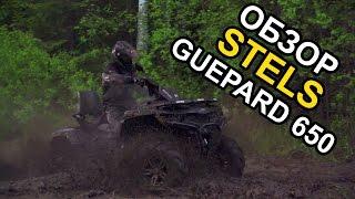 Обзор квадроцикла STELS GUEPARD 650