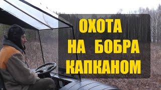 ПОЙМАЛ БОБРА КАПКАНОМ. Установка капкана КП-250. Охота на бобра (ч.3)