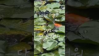단 2천원으로 가장 만족한 관광지 l 나혼자 당일치기 춘천여행(3) #브이로그
