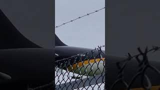 UPS plane