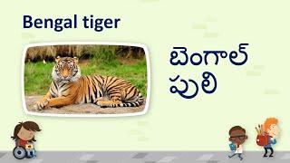 Wild animals names క్రూర/వన్యమృగాలు #wild animals names #Telugu wild animals names animals names