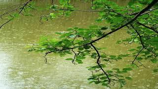 10 ore di pioggia bellissima e rilassante per dormire  - relaxing rain -  temporale rilassante -ASMR