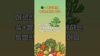 쑥 족욕의 효능#건강 #족욕
