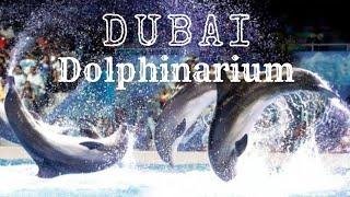 Dubai Dolphinarium FULL VIDEO  Malayalam Vlog