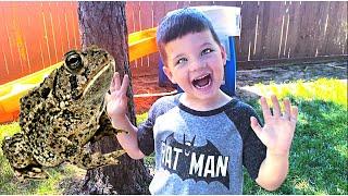 BACKYARD FROGS SURPRiSE w/ Caleb! Caleb & Mommy FiND a BABY FROG & play HiDE n SEEK pretend play!