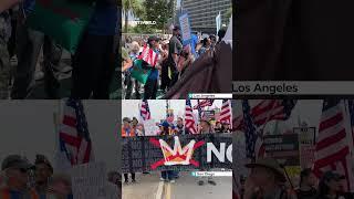 Hundreds of thousands across 50 states in US protest Trump's policies