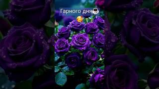 #гарногодня #shorts
