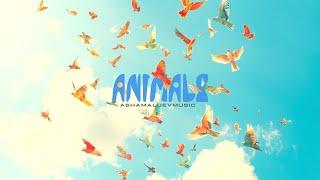 Happy, Uplifting and Cheerful Music | Animals - by AShamaluevMusic