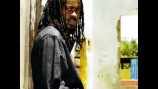 Beenie Man - Crazy Baldheads (feat. Luciano) + Foundation (with Sly & Robbie)