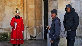 Rude FRENCHIE TOURISTS DISRESPECT The Guard - We Speak With Them at Horse Guards!