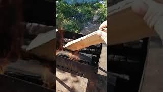 Как приготовить угли для шашлыка