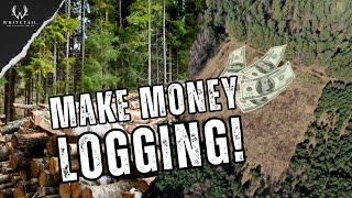 Make DOUBLE The Money Logging Your Property. Use these STEPS!