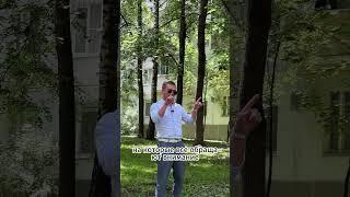 особенность панельных хрущевок с газом, почему образуется плесень, зачем окно в туалет!? #риэлтор #1