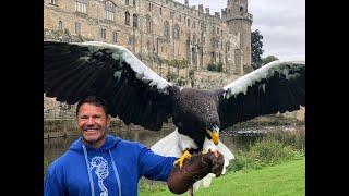 Steller's sea eagle in Bullet time!